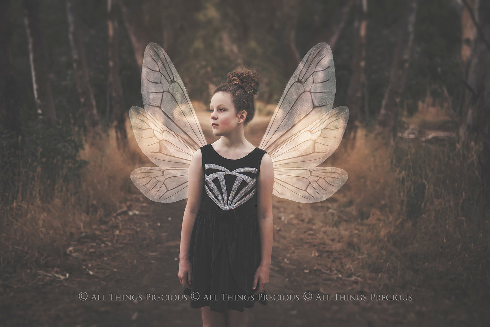 Digital Faery Wing Overlays. Png overlays for photoshop. Photography editing. High resolution, 300dpi fairy wings. Overlays for photography. Digital stock and resources. Graphic design. Fairy Photos. Colourful Fairy wings. Faerie Wings. ATP Textures. Overlays. Actions, Textures, Photo Resources, Photoshop.